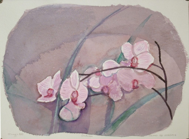 Orchidee - 1999 - Acquerello su Cartoncino - 28,5x38